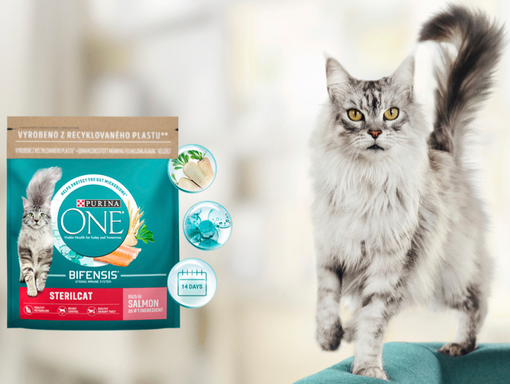 Purina ONE®