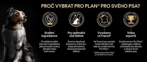 Prečo vybrať Pro Plan®pre svojho psa?