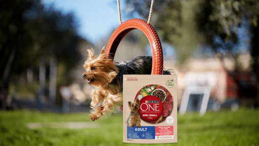 Purina ONE®