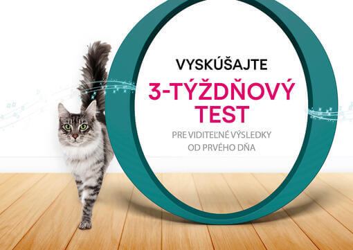 3-týždňový test-mačka