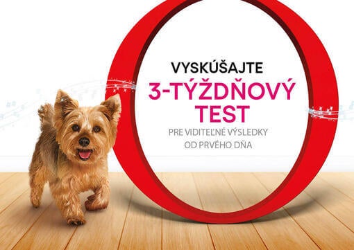 3-týždňový test pre psa