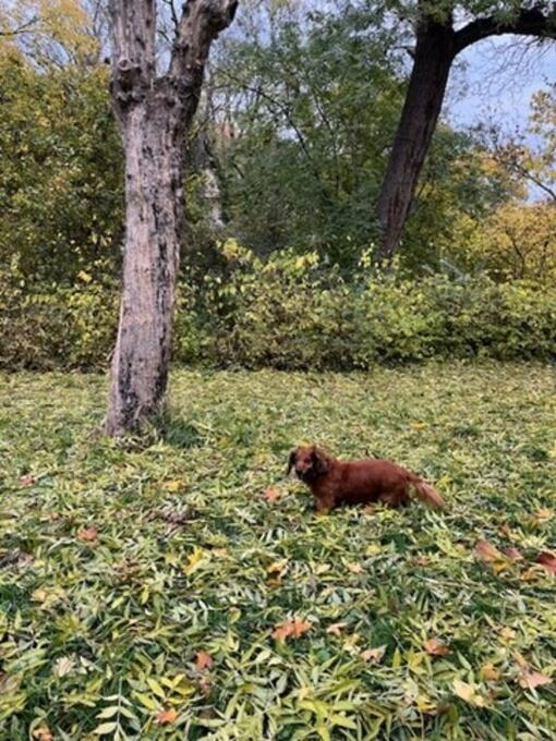 3-týždňový test recenzia