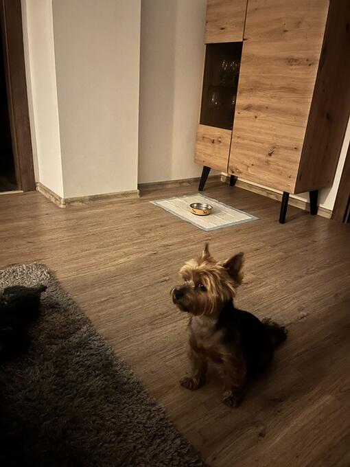 3-týždňový test recenzia