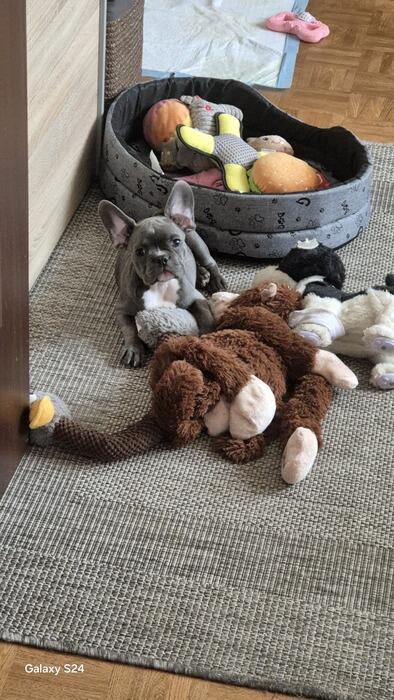 3-týždňový test recenzia