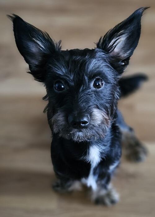 3-týždňový test recenzia