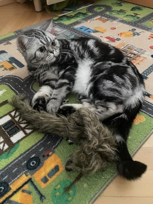 Purina ONE 3W test recenze