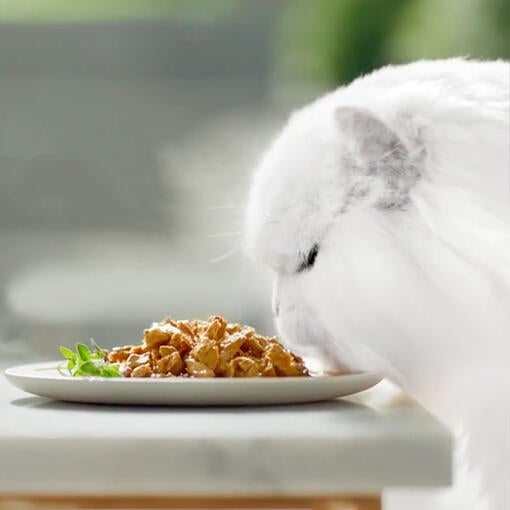 Gourmet Perle