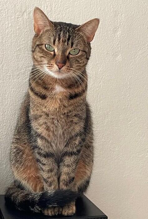 Valika Tomanová 3W test Purina