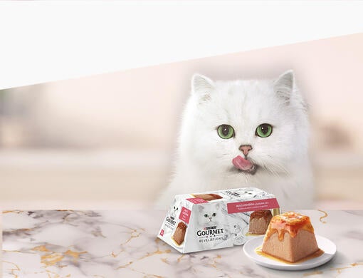 Získajte vzorku Gourmet® Revelations ZADARMO.
