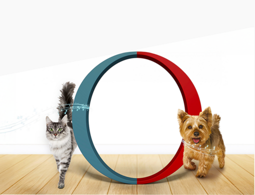 Purina ONE® 3-týždňový test pre mačky a psy