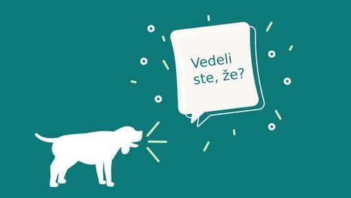 Vedeli ste, že?