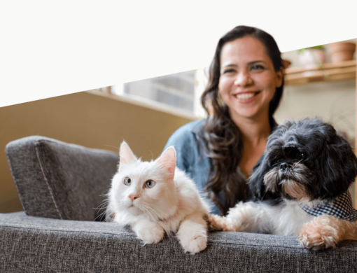 Mačka, pes a človek na pohovke v izbe