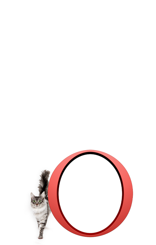 Mačka na priehladnom pozadí s červeným kruhom