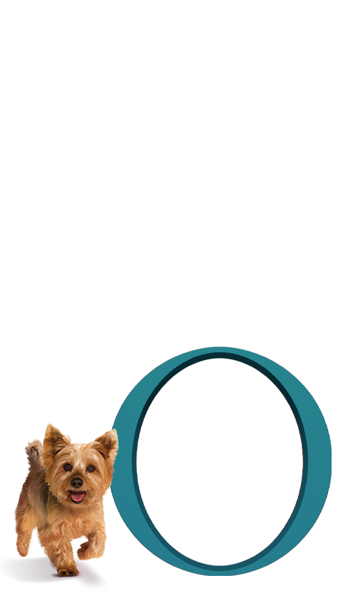 Pes na svetlom pozadí s kolom Purina ONE®