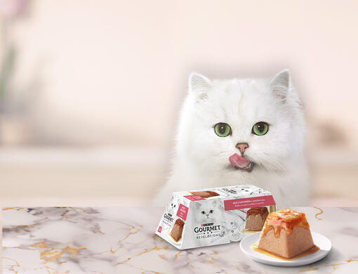 Mačka, ktorá si oblizuje labku s produktom Grourmet® na stole