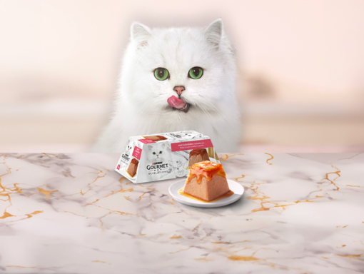 Mačka za stolom s krmivom Gourmet®