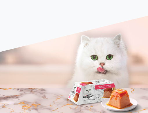 Mačka sediaca za stolom, na ktorom je krmivo Purina® Gourmet®