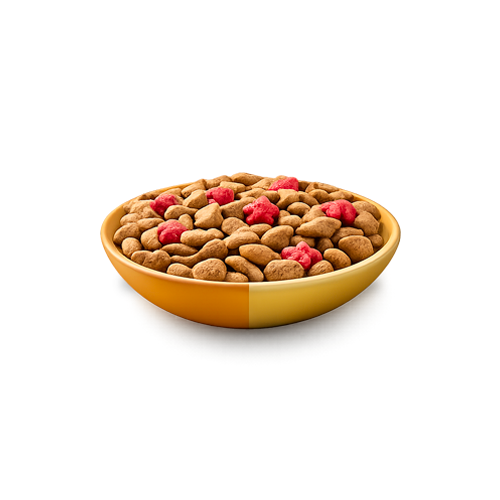 Miska s granulemi Felix® Doubly Delicious