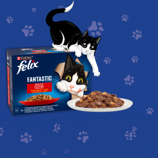 Mačka s krmivom Felix® Fantastic