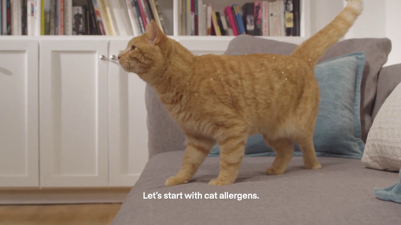 Purina Pro Plan® LIVECLEAR® - How Our Cat Food Reduces Allergens