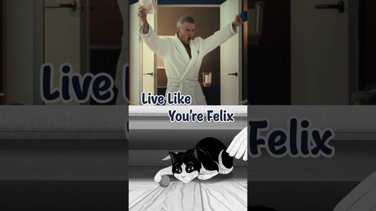 YouTube | Live Like you are Felix. Its Great to be a Cat!